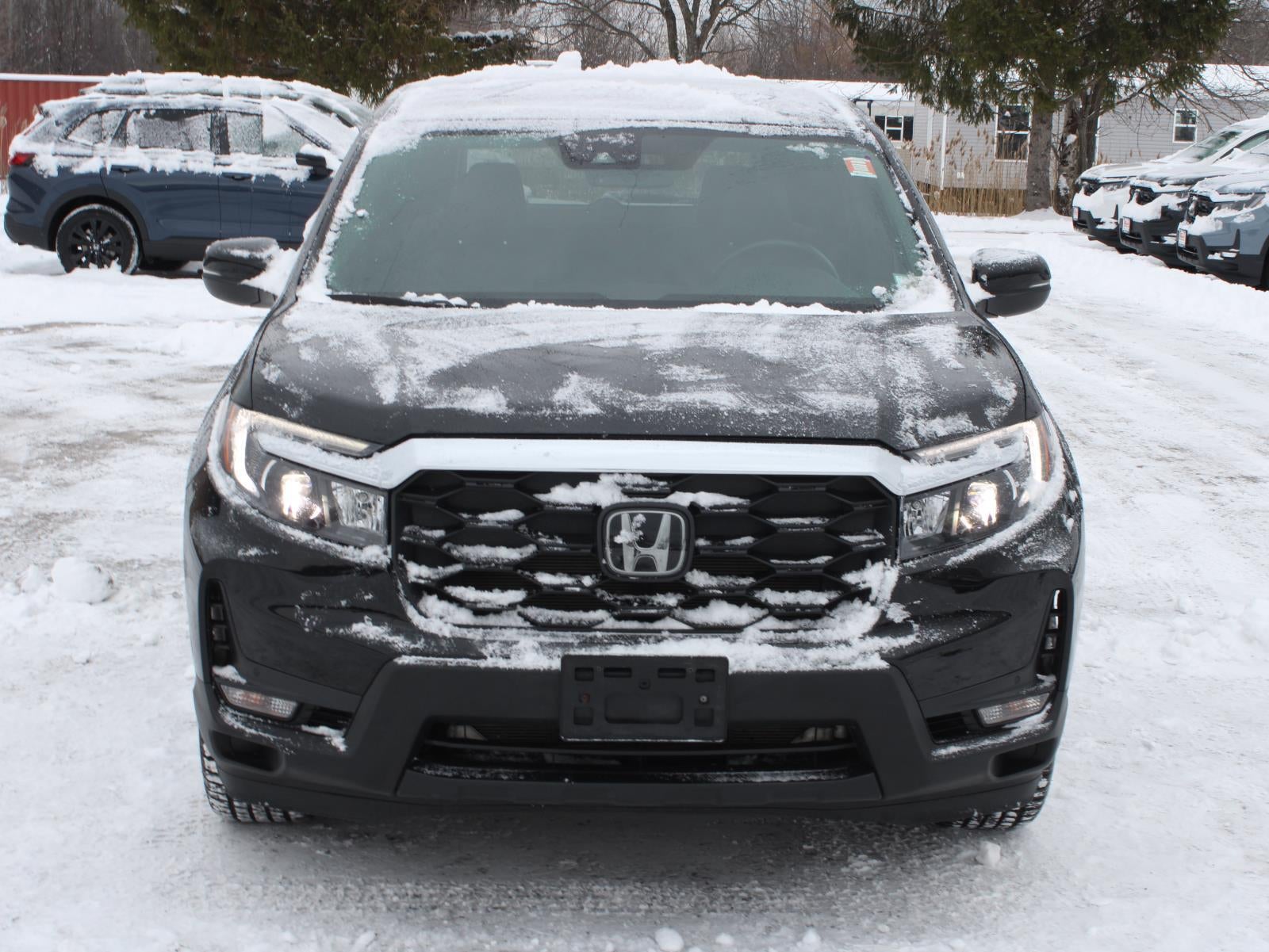2024 Honda Passport EX-L All Wheel Drive Automatic